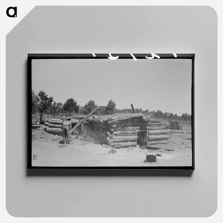 アートパネル-Pinon Poles, Pie Town
 - ラッセル リー Canvas.