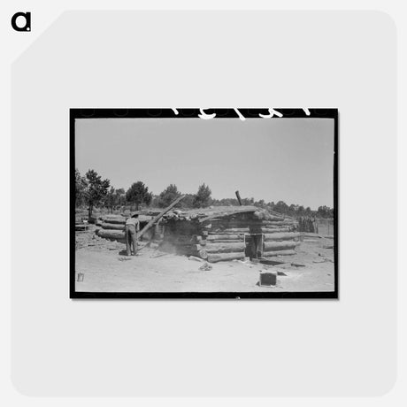アートポストカード-Pinon Poles, Pie Town
 - ラッセル リー Postcard.