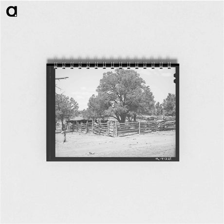 アートメモ帳-Pie Town Corral
 - ラッセル リー Memo.