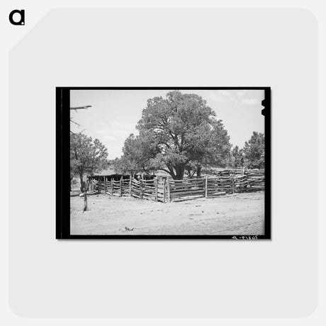 アートポストカード-Pie Town Corral
 - ラッセル リー Postcard.