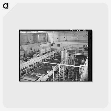 アートポストカード-Dairymen's Cooperative Creamery
 - ラッセル リー Postcard.