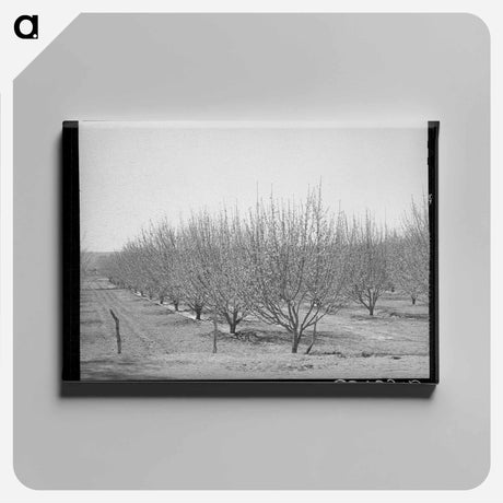 アートパネル-Irrigated Orchard
 - ラッセル リー Canvas.