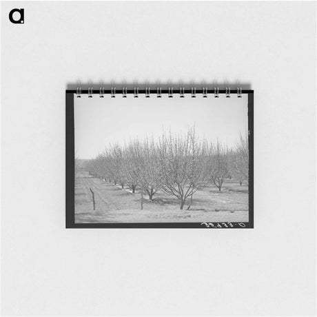 アートメモ帳-Irrigated Orchard
 - ラッセル リー Memo.