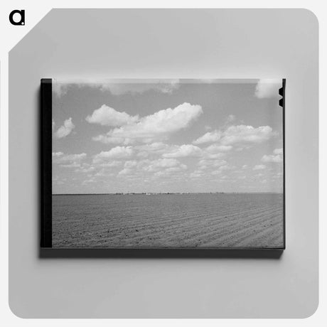 アートパネル-San Patricio County
 - ラッセル リー Canvas.