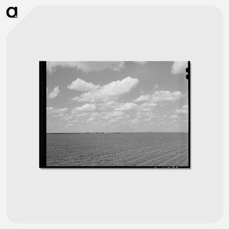 アートポストカード-San Patricio County
 - ラッセル リー Postcard.