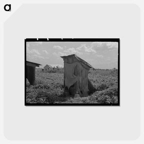 アートポストカード-Sharecropper Privy
 - ラッセル リー Postcard.
