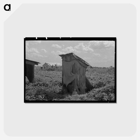 アートポストカード-Sharecropper Privy
 - ラッセル リー Postcard.