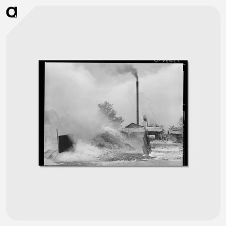 アートポストカード-Sawdust Pyre
 - ラッセル リー Postcard.