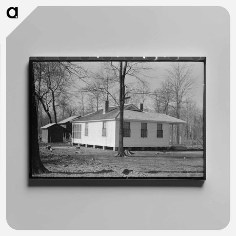 アートパネル-Typical House, Chicot Farms
 - ラッセル リー Canvas.