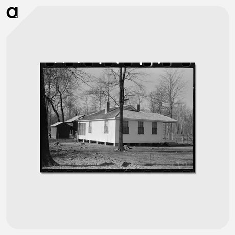 アートポストカード-Typical House, Chicot Farms
 - ラッセル リー Postcard.