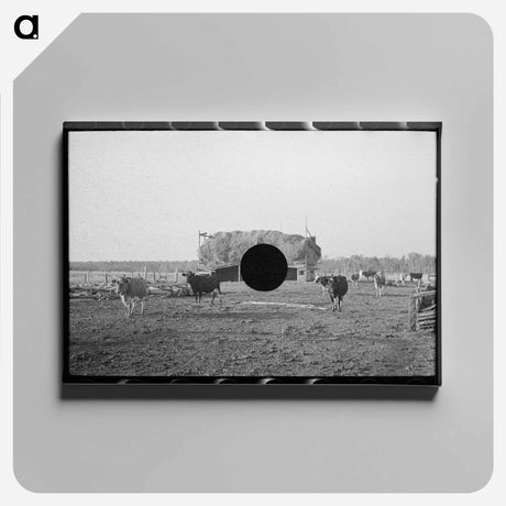 アートパネル-Herd of Cattle, Little Fork
 - ラッセル リー Canvas.