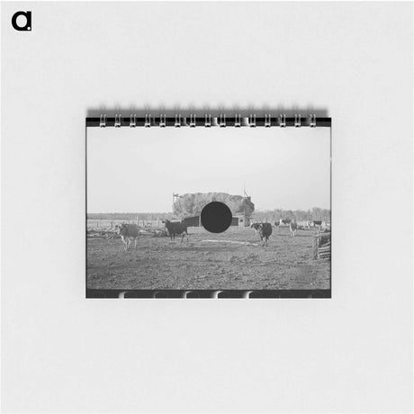 アートメモ帳-Herd of Cattle, Little Fork
 - ラッセル リー Memo.