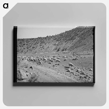 アートパネル-Sheep on the Range
 - ラッセル リー Canvas.