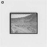 アートメモ帳-Sheep on the Range
 - ラッセル リー Memo.