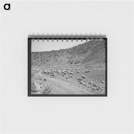 アートメモ帳-Sheep on the Range
 - ラッセル リー Memo.