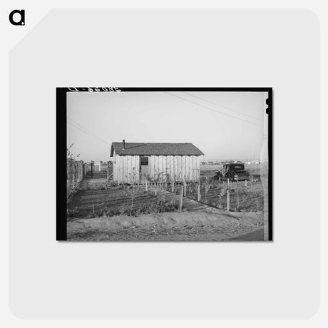 アートポストカード-House in Bull Tract
 - ラッセル リー Postcard.