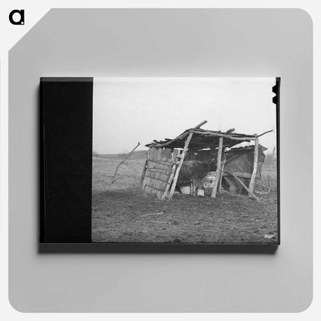 アートパネル-Cowshed on Oklahoma Farm
 - ラッセル リー Canvas.