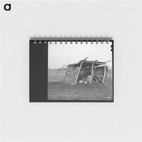 アートメモ帳-Cowshed on Oklahoma Farm
 - ラッセル リー Memo.
