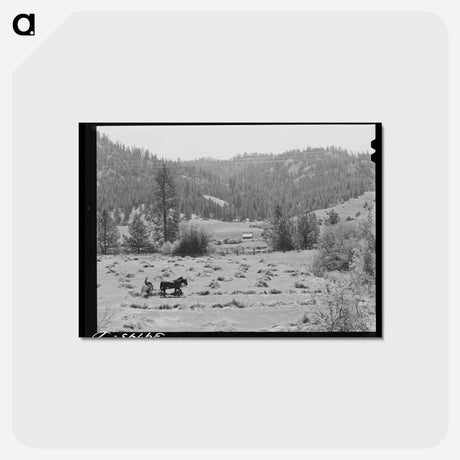 アートポストカード-Haying in Garden Valley
 - ラッセル リー Postcard.