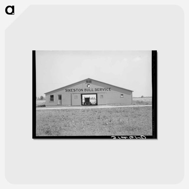 アートポストカード-Barn near Sikeston, Missouri
 - ラッセル リー Postcard.