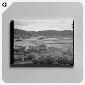 アートパネル-Division of Farming Lands
 - ラッセル リー Canvas.
