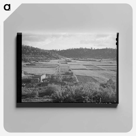 アートパネル-Division of Farming Lands
 - ラッセル リー Canvas.