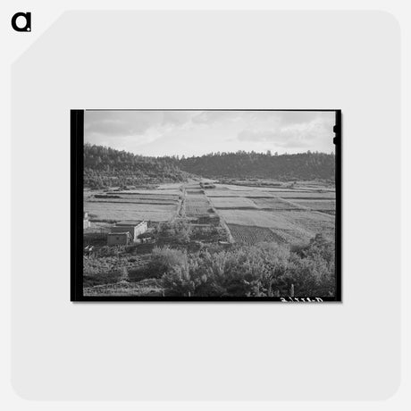 アートポストカード-Division of Farming Lands
 - ラッセル リー Postcard.