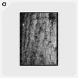 アートポストカード-Long Bell Lumber Trunks
 - ラッセル リー Postcard.
