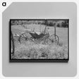アートパネル-Buggy in Daisies
 - ラッセル リー Canvas.