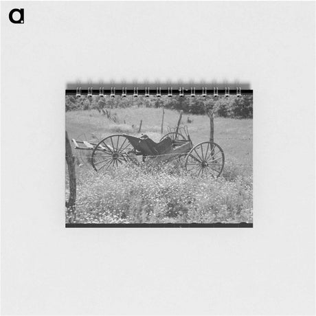アートメモ帳-Buggy in Daisies
 - ラッセル リー Memo.
