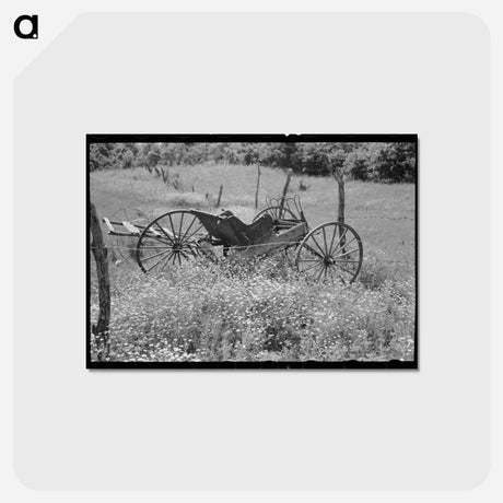 アートポストカード-Buggy in Daisies
 - ラッセル リー Postcard.