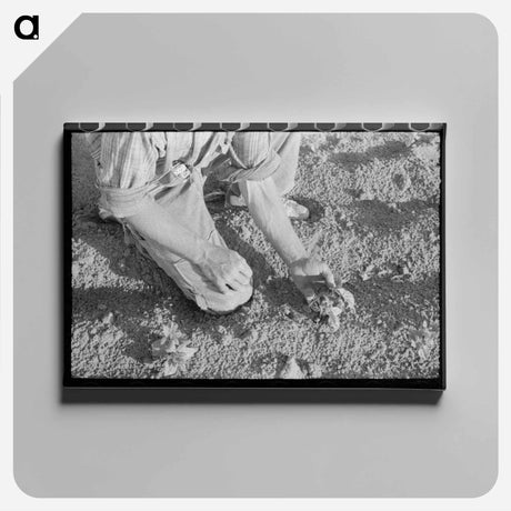 アートパネル-Farmer and Bean Plant
 - ラッセル リー Canvas.