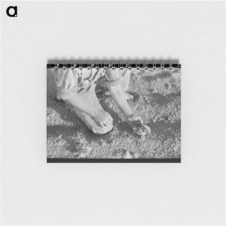 アートメモ帳-Farmer and Bean Plant
 - ラッセル リー Memo.