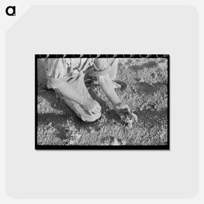 アートポストカード-Farmer and Bean Plant
 - ラッセル リー Postcard.