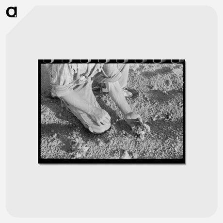 アートポストカード-Farmer and Bean Plant
 - ラッセル リー Postcard.