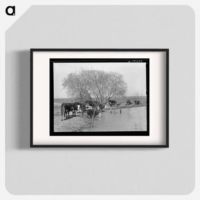 アートポスター-Cattle at Water Hole
 - ラッセル リー Poster.