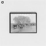 アートメモ帳-Cattle at Water Hole
 - ラッセル リー Memo.