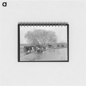アートメモ帳-Cattle at Water Hole
 - ラッセル リー Memo.