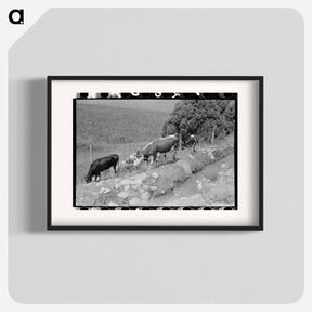 アートポスター-Child Tending Cows, Penasco
 - ラッセル リー Poster.