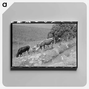 アートパネル-Child Tending Cows, Penasco
 - ラッセル リー Canvas.