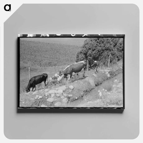 アートパネル-Child Tending Cows, Penasco
 - ラッセル リー Canvas.