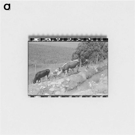 アートメモ帳-Child Tending Cows, Penasco
 - ラッセル リー Memo.