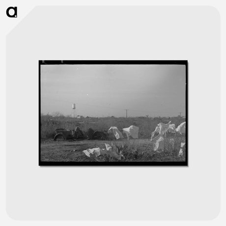 アートポストカード-Laundry of Migrant Workers
 - ラッセル リー Postcard.