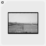 アートポストカード-Phoenix Meatpacking Plant
 - ラッセル リー Postcard.