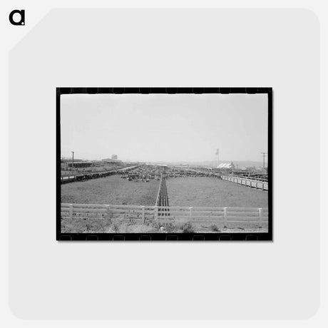 アートポストカード-Phoenix Meatpacking Plant
 - ラッセル リー Postcard.