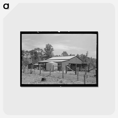 アートポストカード-Sabine Farms Barn and Water Tank
 - ラッセル リー Postcard.