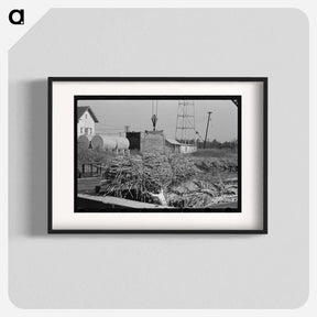 アートポスター-Loading Sugarcane, Louisiana
 - ラッセル リー Poster.