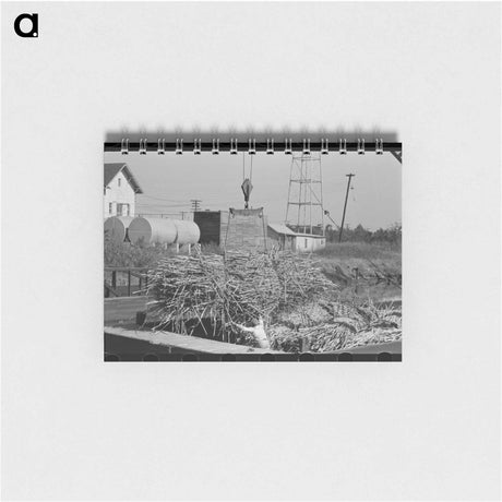 アートメモ帳-Loading Sugarcane, Louisiana
 - ラッセル リー Memo.