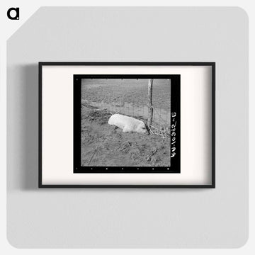 Hog Drowned in the Flood
 - ラッセル リー Poster.