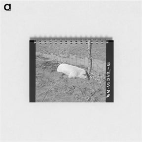アートメモ帳-Hog Drowned in the Flood
 - ラッセル リー Memo.